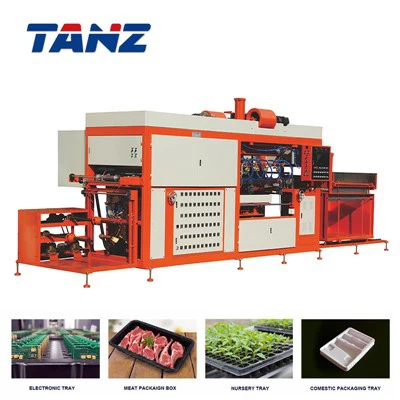 Taizhang visoke brzine plastične posude za prehrambene posude za voćne kutije Termoforming Machine